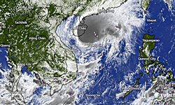 Khẩn trương triển khai các biện pháp chủ động ứng phó với bão số 12