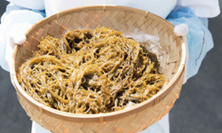 Giải ph&#225;p chăm s&#243;c sức khỏe từ thi&#234;n nhi&#234;n