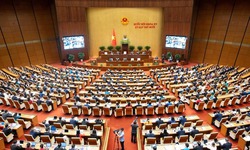 Tr&#236;nh Quốc hội dự &#225;n Luật D&#226;n số v&#224; Luật Ph&#242;ng bệnh