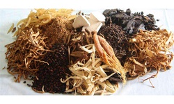 Hoàn thiện chính sách quản lý dược liệu nhập khẩu nhằm bảo đảm an toàn và minh bạch thị trường