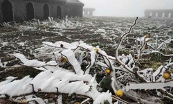 Miền Bắc tiếp tục chuyển r&#233;t từ s&#225;ng mai, H&#224; Nội duy tr&#236; lạnh dưới 20 độ