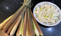 Củ niễng – &#39;nh&#226;n s&#226;m trong nước&#39; v&#224; b&#237; quyết chế biến để giữ trọn dưỡng chất