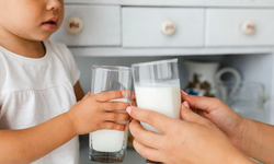 Sữa hạt – xu hướng dinh dưỡng l&#224;nh mạnh cho cả gia đ&#236;nh