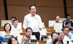 ĐBQH đề xuất đầu tư, đổi mới công nghệ xử lý chất thải y tế để bảo vệ môi trường và sức khỏe người dân