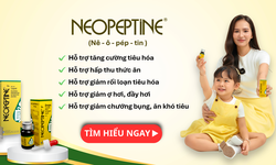 Giải ph&#225;p hỗ trợ tăng cường ti&#234;u h&#243;a v&#224; hấp thu thức ăn, hỗ trợ giảm rối loạn ti&#234;u h&#243;a, ợ hơi, đầy hơi, chướng bụng, ăn kh&#243; ti&#234;u