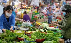 Rau xanh gi&#225; &#39;tr&#234;n trời’ sau mưa b&#227;o: Ăn tr&#225;i c&#226;y thay rau c&#243; được kh&#244;ng?