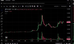 Pi Network lại trở thành tâm điểm trên sàn OKX