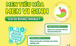 Men vi sinh v&#224; men ti&#234;u h&#243;a: Ph&#226;n biệt đ&#250;ng để sử dụng hiệu quả