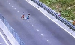Ph&#225;t hiện 3 trẻ em chặn xe, n&#233;m đ&#225; l&#234;n đường cao tốc Cam L&#226;m - Vĩnh Hảo
