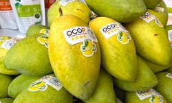 Giải ph&#225;p hỗ trợ ph&#225;t triển sản phẩm OCOP gắn với sức khỏe con người