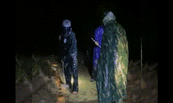 Quảng Trị ngập s&#226;u, đất đ&#225; v&#249;i lấp nhiều chuồng trại, ruộng đồng