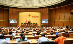 Triển khai nhiều giải ph&#225;p li&#234;n quan đến gi&#224; h&#243;a d&#226;n số v&#224; chăm s&#243;c người cao tuổi