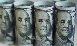 Tỷ gi&#225; h&#244;m nay 31/10: Gi&#225; USD tăng nhẹ