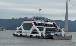 Hải Ph&#242;ng cấm t&#224;u thuyền v&#224; c&#225;c hoạt động tr&#234;n biển, s&#244;ng để ứng ph&#243; b&#227;o số 11