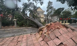 Đ&#234;m nay đến trưa mai l&#224; thời điểm gi&#243; mạnh nhất khi b&#227;o Matmo đổ bộ nước ta