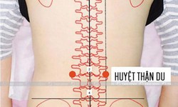 Xoa b&#243;p bấm huyệt gi&#250;p giảm đau nhức xương khớp