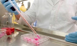 Bộ Y tế siết chặt quản lý tế bào gốc ‘xách tay’, xây dựng tiêu chuẩn quốc gia về tế bào và sản phẩm từ tế bào