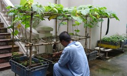 Rối loạn mất ngủ v&#224; c&#225;ch điều trị kh&#244;ng d&#249;ng thuốc: Hướng đi an to&#224;n cho giấc ngủ khỏe mạnh