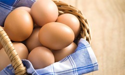 Cảnh giác với trứng nhiễm khuẩn Salmonella để bảo vệ sức khỏe