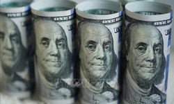 Tỷ giá hôm nay 7/10: Giá USD và NDT giảm nhẹ