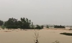 Thái Nguyên: Cảnh báo lũ trên thượng lưu sông Cầu ở mức đặc biệt lớn