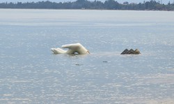 Tượng bàn tay ‘chới với’, biển Hải Tiến tan hoang