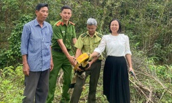 Chim hồng ho&#224;ng qu&#253; hiếm xuất hiện ở khu d&#226;n cư