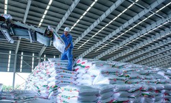 Lãnh đạo DCM không hoàn tất giao dịch 8.000 cổ phiếu