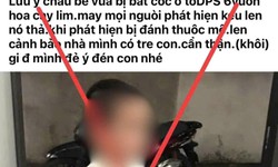 Đăng tin sai sự thật về vụ bắt c&#243;c trẻ em, người đ&#224;n &#244;ng bị triệu tập