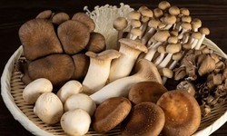 3 loại rau cần tr&#225;nh ở người tăng axit uric trong m&#249;a mưa