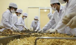 Ho&#224;n thiện quy định về đăng k&#253; lưu h&#224;nh thuốc cổ truyền