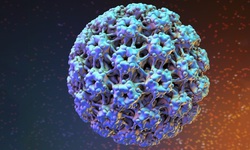 Nam giới c&#243; thể bị nhiễm virus HPV kh&#244;ng?