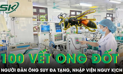 Hơn 100 vết ong v&#242; vẽ đốt khiến người đ&#224;n &#244;ng suy đa tạng, nhập viện nguy kịch