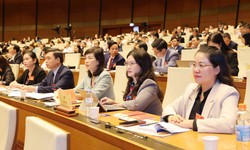 C&#244;ng t&#225;c nh&#226;n sự ĐBQH kh&#243;a XVI v&#224; đại biểu HĐND c&#225;c cấp nhiệm kỳ 2026-2031 phải đ&#225;p ứng ti&#234;u chuẩn n&#224;o?