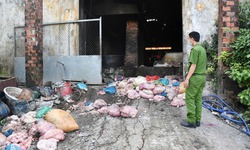Ph&#225;t hiện c&#244;ng nh&#226;n đang chế biến mỡ động vật trong khu nghĩa trang