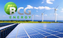 Bamboo Capital giải trình chậm nộp báo cáo tài chính