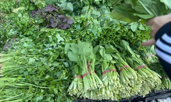 Gi&#225; rau &#39;phi m&#227;&#39; sau b&#227;o, bữa cơm gia đ&#236;nh Thủ đ&#244; chịu &#225;p lực nặng nề