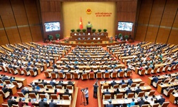 Tr&#236;nh Quốc hội cơ chế, ch&#237;nh s&#225;ch triển khai Nghị quyết 72 của Bộ Ch&#237;nh trị