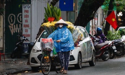 Miền Bắc c&#243; thể xuất hiện băng gi&#225;, sương muối do kh&#244;ng kh&#237; lạnh mạnh bao phủ