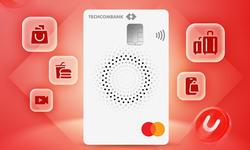 Chi ti&#234;u th&#244;ng th&#225;i với bộ sưu tập thẻ t&#237;n dụng Techcombank