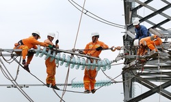 Ho&#224;n th&#224;nh thay thế c&#225;ch điện đường d&#226;y 220kV mạch k&#233;p Th&#225;i B&#236;nh – Tiền Hải – Trực Ninh đ&#250;ng tiến độ trong điều kiện mưa b&#227;o khắc nghiệt