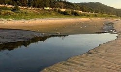 Xả nước đen bốc m&#249;i ra biển Mũi N&#233;, Khu du lịch Asteria bị phạt 50 triệu đồng