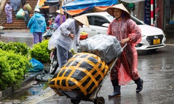 Bộ N&#244;ng nghiệp v&#224; M&#244;i trường y&#234;u cầu ứng ph&#243; khẩn với đợt r&#233;t hại