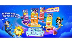 Review c&#225;c d&#242;ng sản phẩm sữa Kun đang b&#225;n tại AVAKids