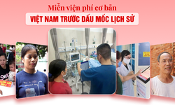 Miễn viện ph&#237; cơ bản: Việt Nam trước dấu mốc lịch sử