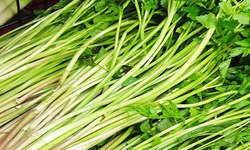 Người bị axit uric máu cao nên ăn gì?