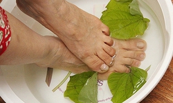 Sử dụng l&#225; lốt ng&#226;m ch&#226;n như thế n&#224;o l&#224; tốt nhất?