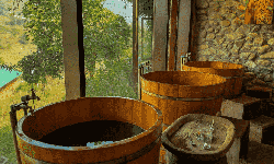 Biến đa dạng sinh học th&#224;nh liệu ph&#225;p chữa l&#224;nh tự nhi&#234;n