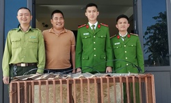 Tiếp nhận c&#225; thể khỉ v&#224;ng qu&#253; hiếm do người d&#226;n tự nguyện giao nộp