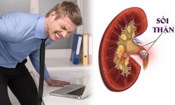 Đau lưng, tiểu s&#243;n đề ph&#242;ng sỏi thận